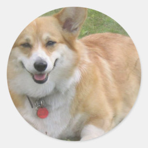 Welsh Corgi Sticker