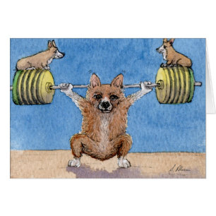 Welsh Corgi weight lifting