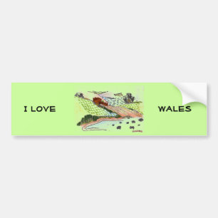 Welsh Countryside Bumper Sticker