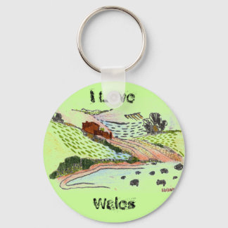 Welsh Countryside Key Ring