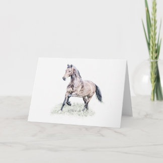 Welsh D Horse Birthday Card