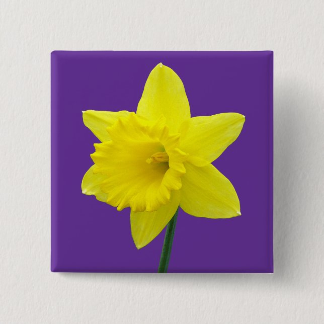 Welsh Daffodil - II - Square 15 Cm Square Badge (Front)