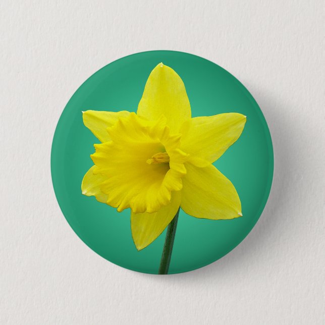 Welsh Daffodil - IV 6 Cm Round Badge (Front)