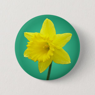 Welsh Daffodil - IV 6 Cm Round Badge