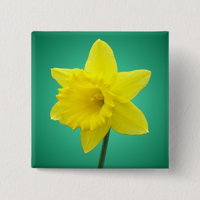 Welsh Daffodil - IV - Square 15 Cm Square Badge (Front)