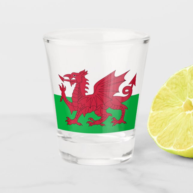 Welsh Dragon ~ Flag of Wales Shot Glass (Front)