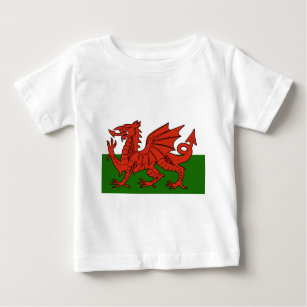 Welsh Flag Baby T-Shirt