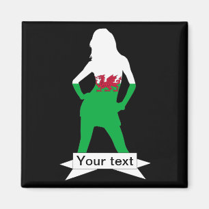 Welsh flag magnet