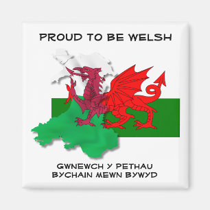 Welsh FLAG OF WALES Red Dragon St David Quote Magnet