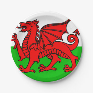 Welsh flag paper plate