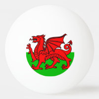 Welsh flag
