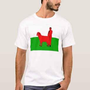 Welsh Flag Spoof T-Shirt