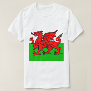 Welsh Flag T-Shirt