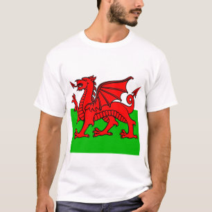 Welsh Flag T-Shirt