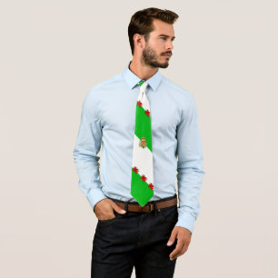 Welsh flag tie