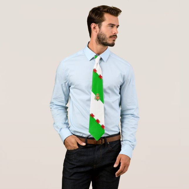 Welsh flag tie (In Situ)
