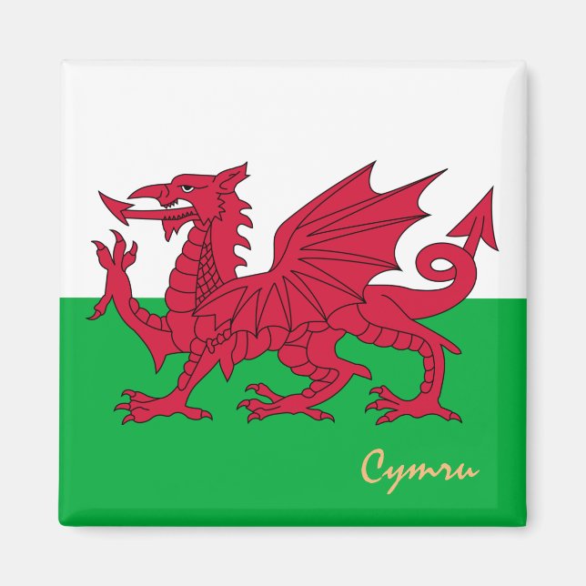 Welsh Flag & Wales travel, holiday, sports / Cymru Magnet (Front)