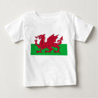 Welsh Flag (Wales) (Welsh Dragon)