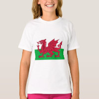 Welsh Flag (Wales) (Welsh Dragon)