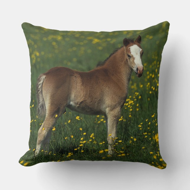 Welsh Foal Cushion (Front)