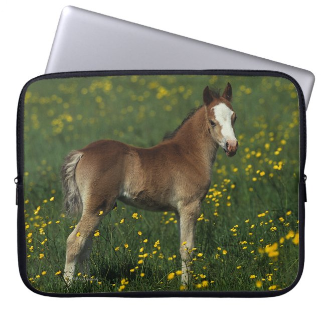 Welsh Foal Laptop Sleeve (Front)
