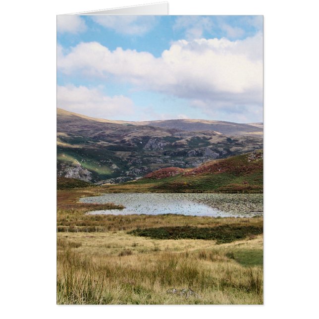 WELSH MOUNTAIN COUNTRY UK (Front)