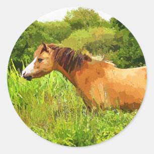 WELSH MOUNTAIN PONY CLASSIC ROUND STICKER