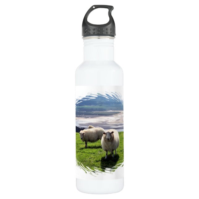WELSH MOUNTAIN SHEEP 710 ML WATER BOTTLE (Front)