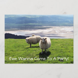 WELSH MOUNTAIN SHEEP INVITATION