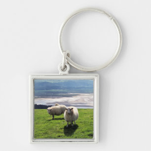 WELSH MOUNTAIN SHEEP KEY RING