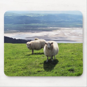 WELSH MOUNTAIN SHEEP MOUSE MAT