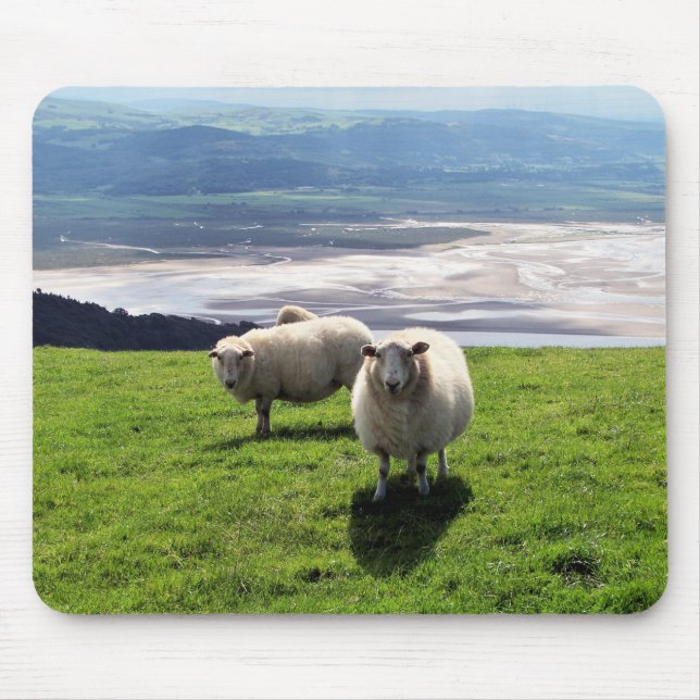 WELSH MOUNTAIN SHEEP MOUSE MAT (Front)