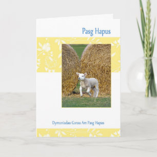 Welsh Pasg Hapus, Easter Card With Spring Lamb