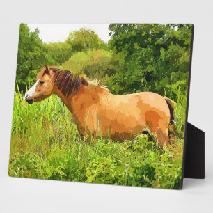 WELSH PONY PLAQUE