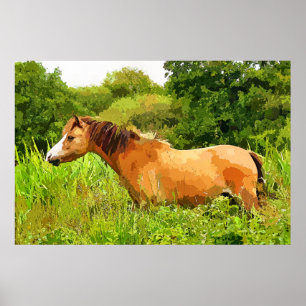 WELSH PONY POSTER