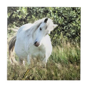 WELSH PONY TILE