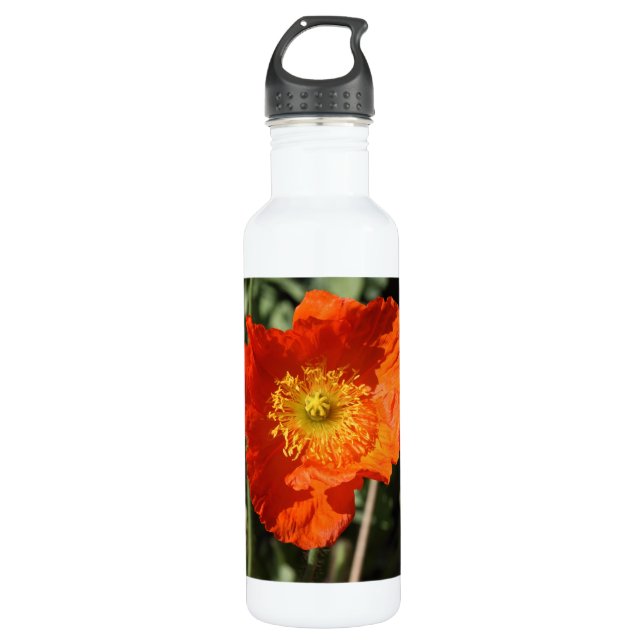 Welsh Poppy (Orange) 710 Ml Water Bottle (Front)