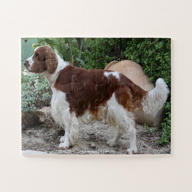Welsh Springer Our Family Pet Jigsaw Puzzle (Horizontal)