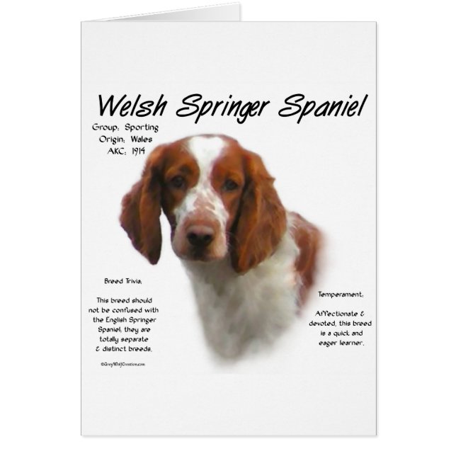 Welsh Springer Spaniel History Design (Front)