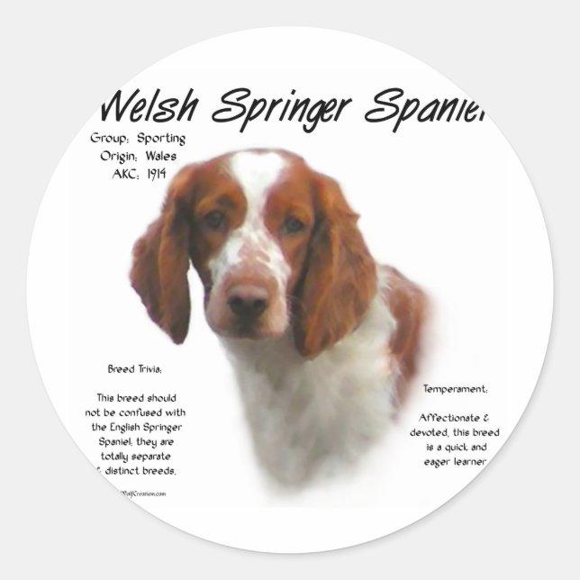 Welsh Springer Spaniel History Design Classic Round Sticker (Front)
