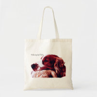 Welsh Springer Spaniel Love