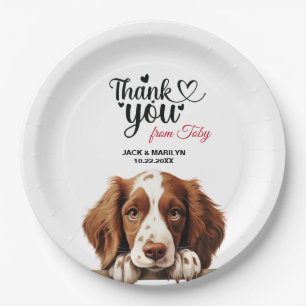 Welsh Springer Spaniel Paper Plate