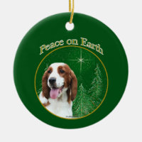 Welsh Springer Spaniel Peace