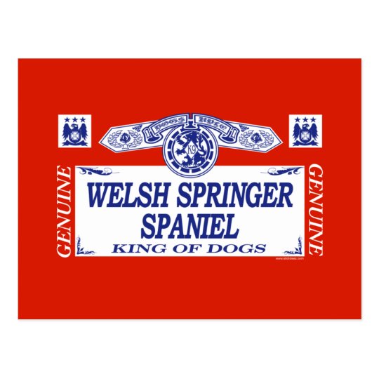 Welsh Springer Spaniel Postcard