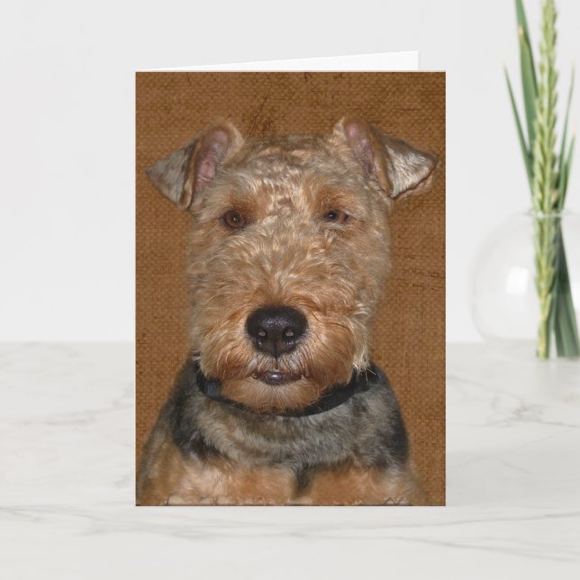 Welsh Terrier Birthday Humour  Card (Front)