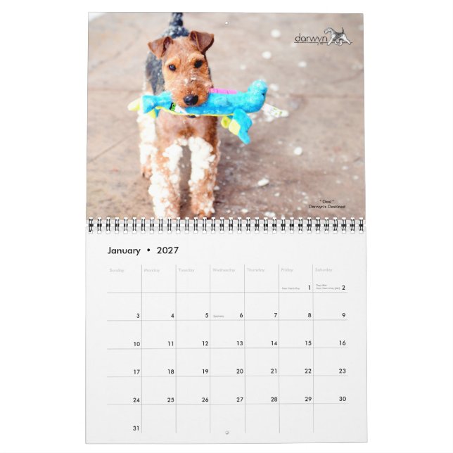 Welsh Terrier Calendar (Jan 2027)