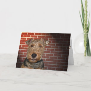 Welsh Terrier Card
