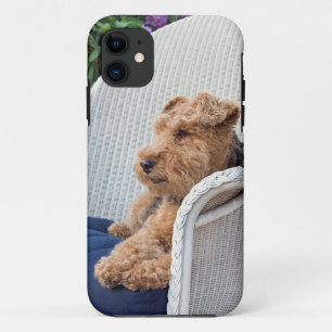 Welsh Terrier iPhone 11 Case