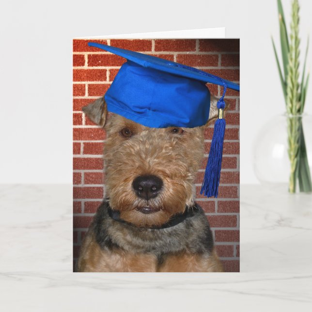 Welsh Terrier Dog graduate Card (Front)