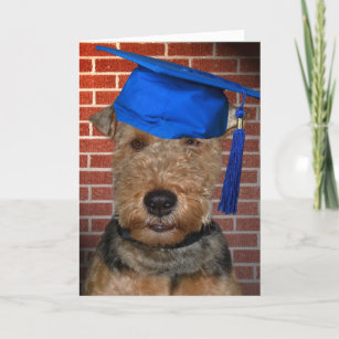 Welsh Terrier Dog graduate Card